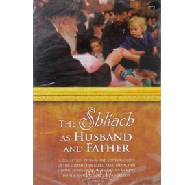 The Shliach As Husband And Father, DVD