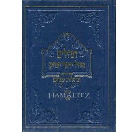 Tehillim Tehilos Menachem 2