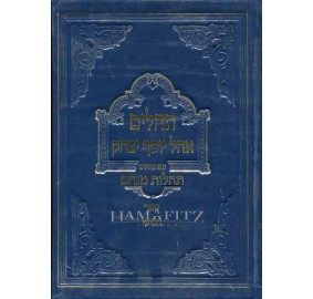 Tehillim Tehilos Menachem 4