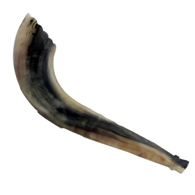 Kosher Moroccan Shofar Sz 4