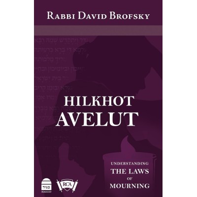 Hilkhot Aveilut: Understanding