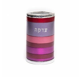 Tzedakah Box Anodized Maroon