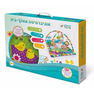 Baby Musical Playmat Activity Gym