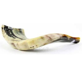 Shofar - Badatz Hechsher