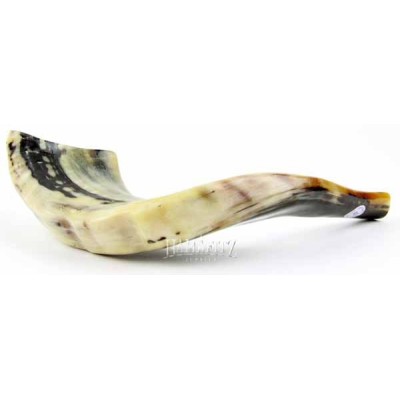 Shofar - Badatz Hechsher