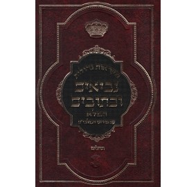 Nach Mukraos Gedolos Malbim Tehillim 1 Volume - נ"ך מקראות גדולות עם מלבי"ם תהילים