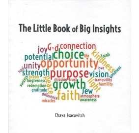 Little Book of Big Insights