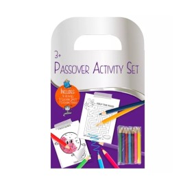Pesach Activity Set