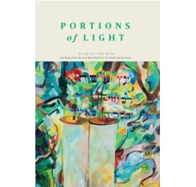 Portions of Light - Teachings from the Baal Shem Tov