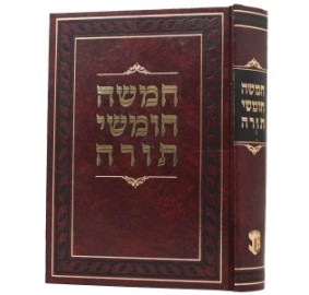 Shul Chumash Medium - שול חומש בינוני