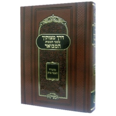 Derech Mitzvosecha Hamevuar 2