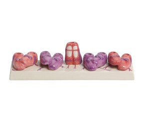 Menorah Ceramic Ballet Slipper