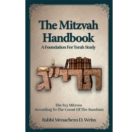 The Mitzvah Handbook