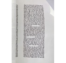 Megillah Chabad Klaf Ari 19"