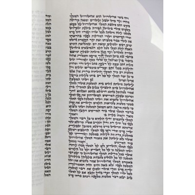 Megillah Chabad Klaf Ari 19