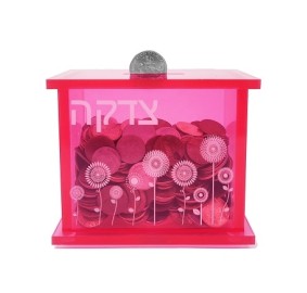 Tzedakah Box Pink Acrylic