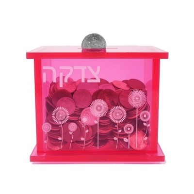 Tzedakah Box Pink Acrylic