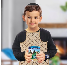 Passover Kids Apron