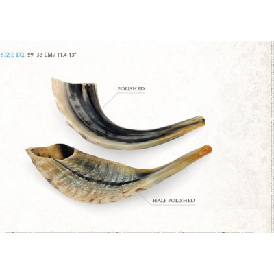 Shofar