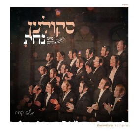 Mit Yiddish Nachas CD Skulen