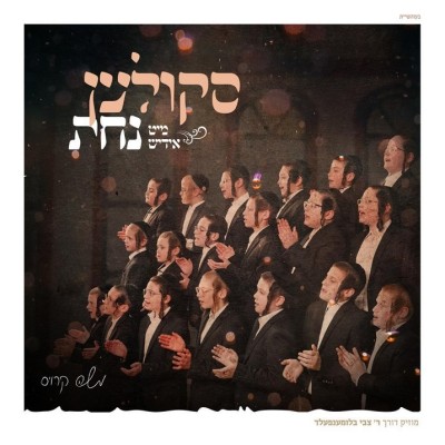 Mit Yiddish Nachas CD Skulen