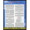 Laminated Cards Tiferet