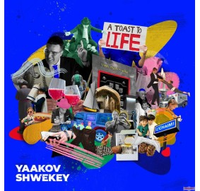 A Toast to Life CD Shwekey