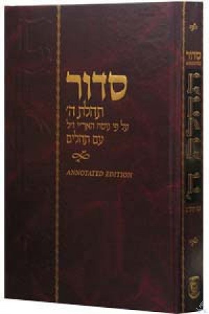 Siddur Annotated Hebrew with English Instructions Large/Chazan Edition