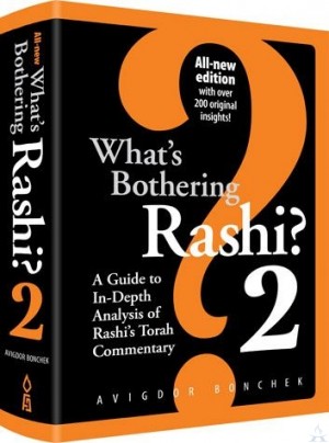 What's Bothering Rashi 2, New Edition