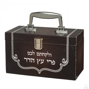 Esrog Box with Metal Handle & Lock
