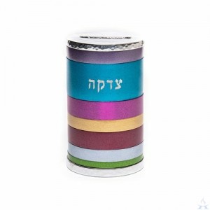Tzedakah Box Anodized Multicolor - Emanuel