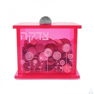 Tzedakah Box Pink Acrylic